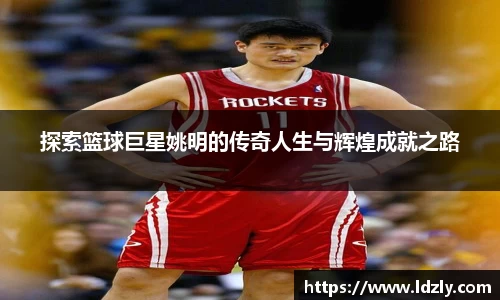 探索篮球巨星姚明的传奇人生与辉煌成就之路